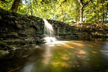 Long exposure of a waterfall flowing into a pond surrounded by green trees in a park
