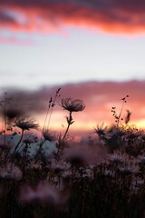 Closeup of blooming flowers in background of mountains during sunset