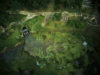 Aerial view of a water pond with green aquatic plants in the park