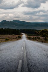 Vertical shot of a road in a landscape under the big white clouds