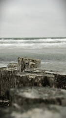 Fototapeta premium Vertical shot of old wooden logs on the seaside