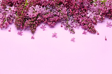 Lilac flowers on color background