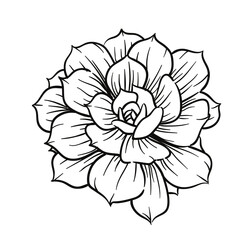 hand drawn flower
