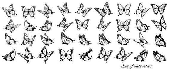 Set of butterflies, flying in different directions. Butterfle silhouette. Vector. - 612558553