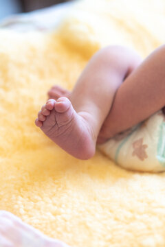 a newborns baby toes