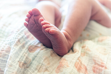 a newborns baby toes