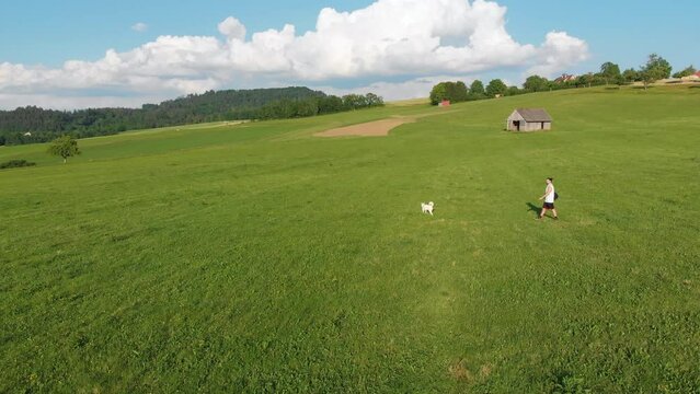 wei&szlig;er Husky Hund und sein Besitzer, ein Junge mit langen Haaren, shorts, einem Achselshirt, einer Umh&auml;ngetasche gehen gemeinsam auf einem Bauernhof Feld auf einer gr&uuml;nen Wiese Gassi im Sommer 4k 