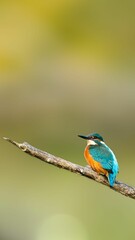 Vertical shot of a kingfisher bird perched on a wood branch against a blurry background.