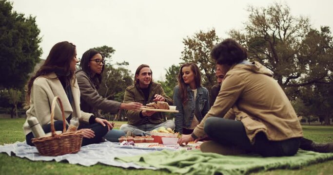Friends, picnic talk and park food on a lawn with young people at a outdoor social event. Lunch, group and happiness of students on grass sitting together with a meal and communication feeling relax