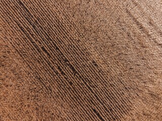 Closeup of a cream surface for overlays and textures