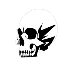 illustration of a skull