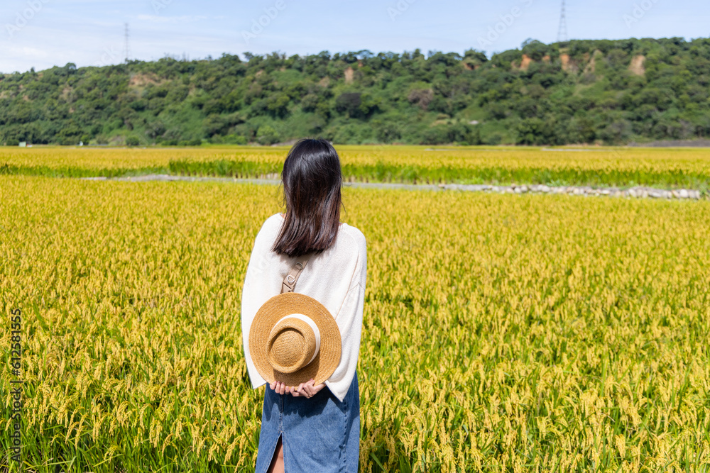 Canvas Prints tourist woman visit paddy rice field