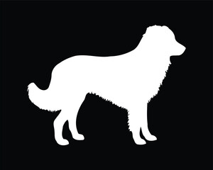 English Shepherd Dog Vector Silhouette