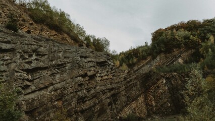 Mesmerizing shot of a wall-like rugged rocks and the vegetation grown on the upper parts of it