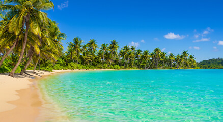 beautiful paradisiacal beach with palm trees in high definition with crystal clear waters