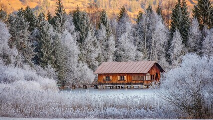 Wooden house in the middle of a winter forest
