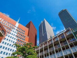 Obraz premium Low angle shot of modern buildings and green trees on a sunny day, Rotterdam, Netherlands