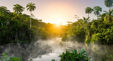 Gordijnen beautiful amazon river with mist © Marco