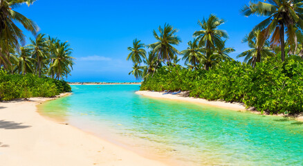 Fototapeta na wymiar beautiful paradise beach with big palm trees and crystal clear water