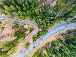 Aerial view of two roads beside a forest with tall green trees