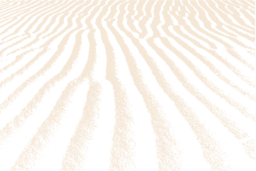 sand dunes texture overlay