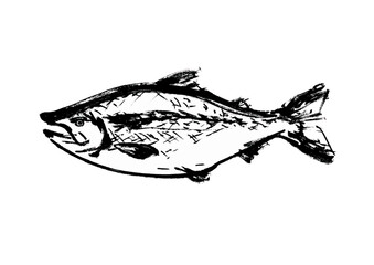鮭の手描き和風イラスト和風素材
