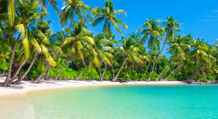 beautiful landscape of a beach with crystal clear waters by day in high definition