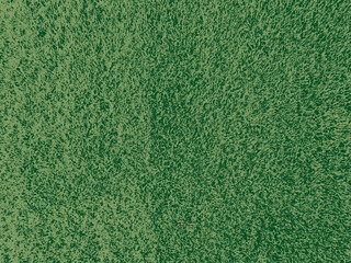 green grassy lawn texture