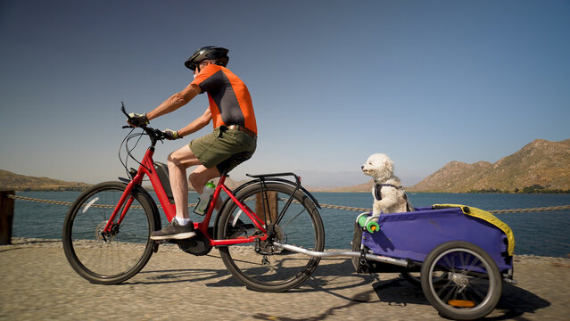 Elderly senior man biking on an e-bike on a trail pulling a trailer with a cute dog in it beside a lake with mountains in the distance.