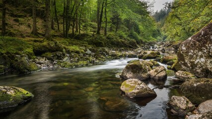 Obraz premium Long exposure of a river with big stones around and green trees of a forest