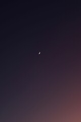 Image of a half moon in the dark purple sky.