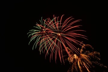 Beautiful shot of exploding colorful fireworks in a black night sky