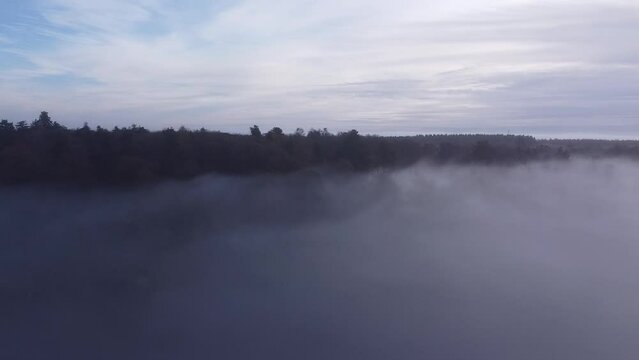 Drone footage over a lush forest in mist