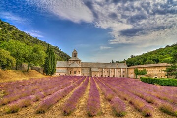 Scenic view of the Senanque abbey located in the Vaucluse Provence, France - obrazy, fototapety, plakaty