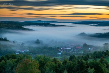 Aerial view of field with dense trees during sunset