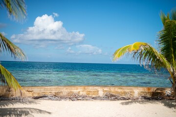 Fototapeta na wymiar Landscape of palm trees on sunny sandy beach by the sea with blue sky