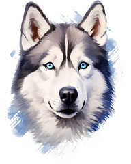 Watercolor-style portrait illustration of a husky on a white background. Capturing the beauty and personality of this breed in a unique and vibrant artistic representation. Perfect for dog lovers