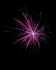 Firework at New Year