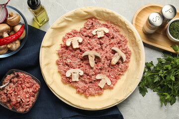 Flat lay composition with raw dough and ingredients on light grey table. Baking meat pie