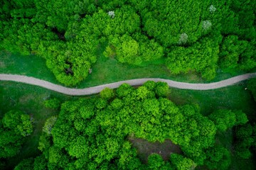 Aerial view of a road in a green field between trees