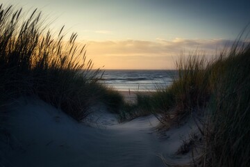 Beach covered with green grass and sand during sunrise in the morning