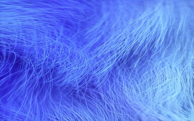 Fluffy blue soft fur for background or texture