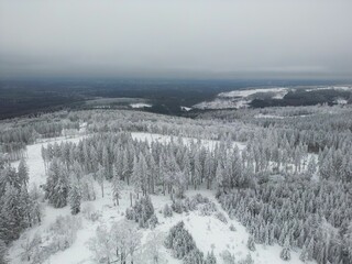 Aerial view of a beautiful forest during winter