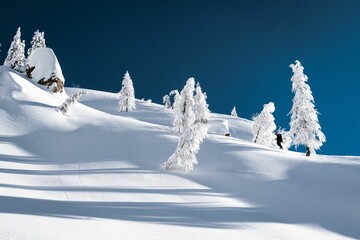 Mountain slope and spruce trees covered in snow.
