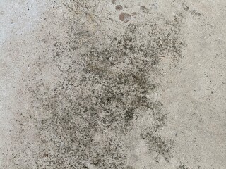 concrete wall texture