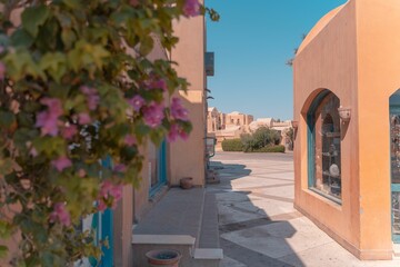 Closeup of a Street at a town of El Gouna with flowers in Egypt, North Africa..