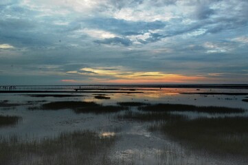 View of the wetland against the background of the cloudy sky at sunset.