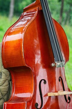 Violonchello chello instrument music string instrument