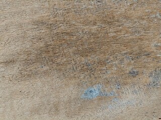 Hardwood surface background