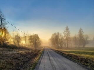 Scenic shot of a rural road surrounded by fields and trees at sunset in mist